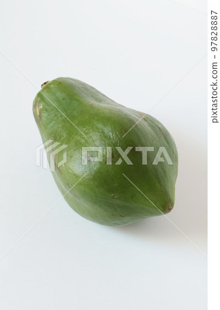 藍木瓜 97828887