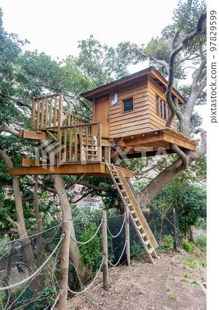 Treehouse	 97829599