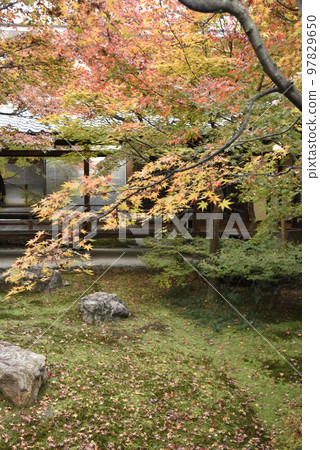 Choontei Garden Kenninji Temple 97829650