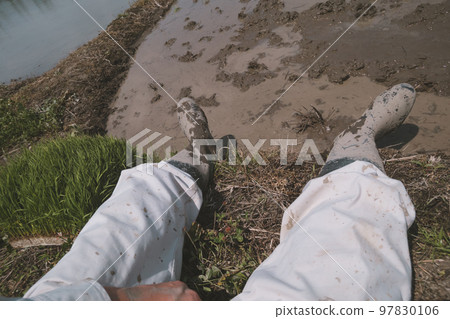 feet, paw, foot 97830106