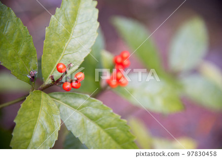 一千真實 97830458