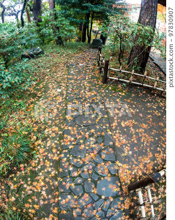 Scenery of an autumn garden taken with a diagonal fisheye lens Scenery of an autumn garden taken with a diagonal fisheye lens 97830907