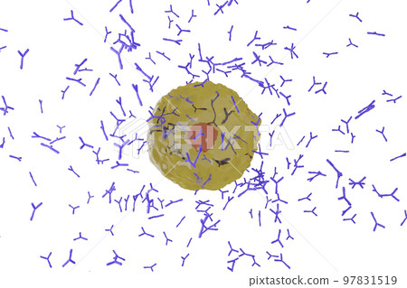 Image of plasma cells producing antibodies 97831519