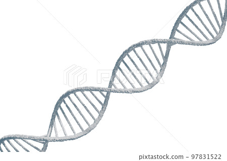 Image of double helix of DNA 97831522