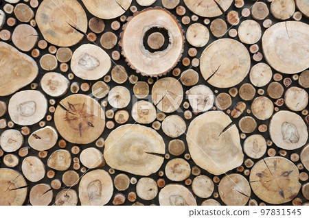 Wooden slabs wall.Set of log slices.Abstract backdrop. 97831545