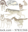 Vector illustration set of wolves 97831566