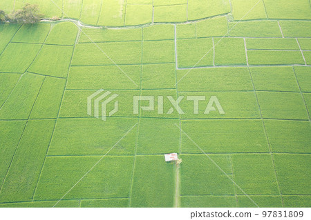 Land or landscape of green field in aerial view. Land or landscape of green field in aerial view. 97831809