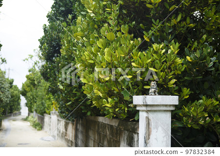 Tonaki 島的胡同,夏天 Tonaki 島的胡同,夏天 97832384