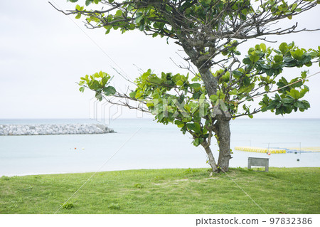 Tonaki 島,Agarihama 的風景,夏天 Tonaki 島,Agarihama 的風景,夏天 97832386