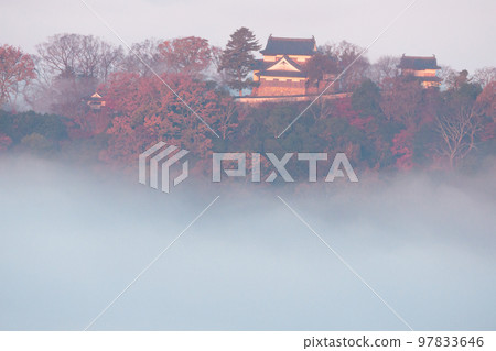 [Japan's Top 100 Castles] Bitchu Matsuyama Castle Floating in the Sea of Clouds in Autumn and Fall Foliage 8 Takahashi City, Okayama Prefecture 97833646