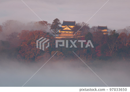 [Japan's Top 100 Castles] Bitchu Matsuyama Castle Floating in a sea of clouds in autumn and autumn leaves 12 Takahashi City, Okayama Prefecture 97833650
