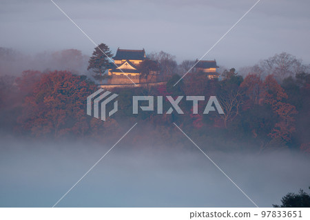 [Japan's Top 100 Castles] Bitchu Matsuyama Castle Floating in a sea of clouds in autumn and autumn leaves 13 Takahashi City, Okayama Prefecture 97833651