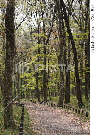 green corridor 97833955