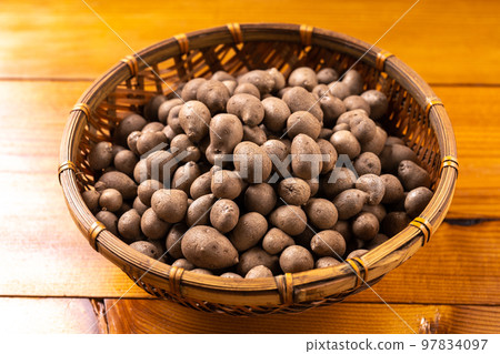 Bamboo grass Bamboo grass 97834097