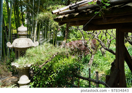 日本庭園 97834843