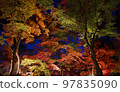 長瀞紅葉祭月之石公園紅葉燈飾 97835090