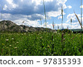 Nature of East Kazakhstan, summer day, mountains, fields, grass 97835393