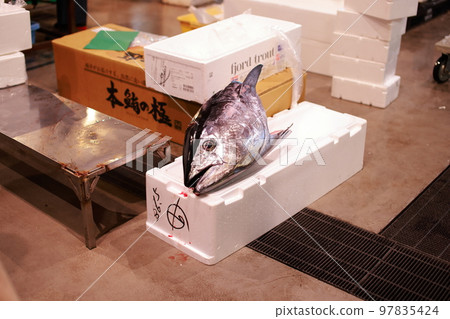 拆除金槍魚 拆除金槍魚 97835424
