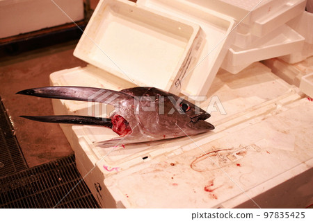 拆除金槍魚 拆除金槍魚 97835425