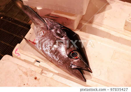 拆除金槍魚 拆除金槍魚 97835427