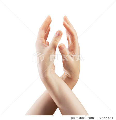 Two beautiful female hands connect to each other on a white background 97836384
