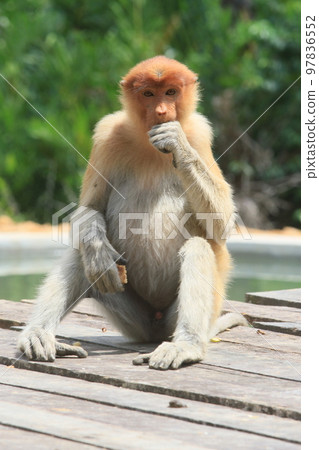 Line of sight Line of sight 97836552