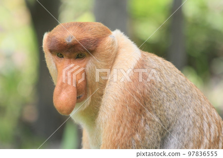 視線 視線 97836555