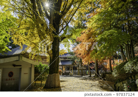 播州清水寺手水屋(兵庫縣加東市) 播州清水寺手水屋(兵庫縣加東市) 97837124