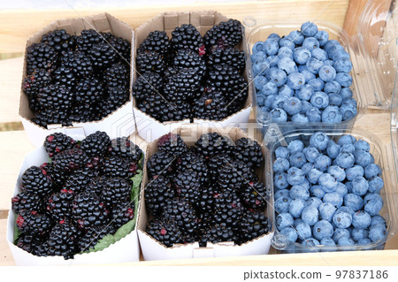 Boxes with blackberry and blueberry from farmers market. Healthy local organic food summer market. 97837186