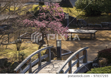 Plum and bridge Plum and bridge 97837293