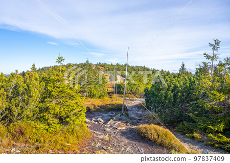Narrow mountain tourist path marked with wooden poles. Cold and sunny autumn day in Hruby Jesenik Mountains, Czech Republic Narrow mountain tourist path marked with wooden poles. Cold and sunny autumn day in Hruby Jesenik Mountains, Czech Republic 97837409