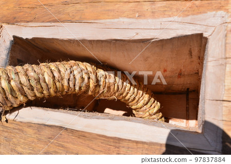 小宮拔河 小宮拔河 97837884