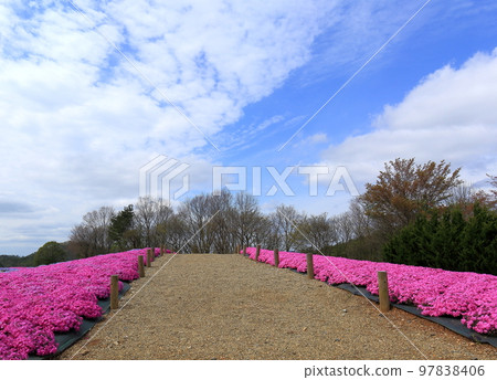 花園Kaori no Sato 97838406