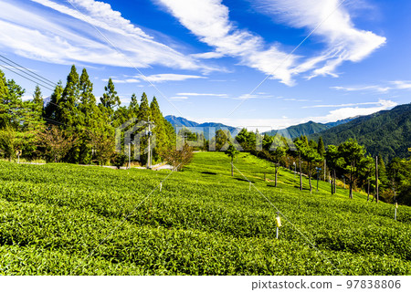 Beautiful tea plantation landscape on the mountaintop of Fushoushan Farm in Taichung, Taiwan. Beautiful tea plantation landscape on the mountaintop of Fushoushan Farm in Taichung, Taiwan. 97838806