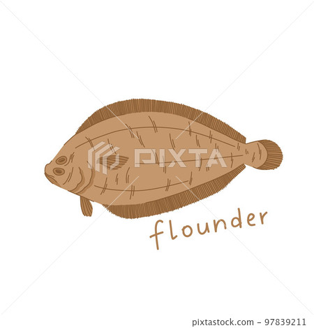 Flounder illustration in cartoon style. Sea fish isolated on white background. Flounder illustration in cartoon style. Sea fish isolated on white background. 97839211
