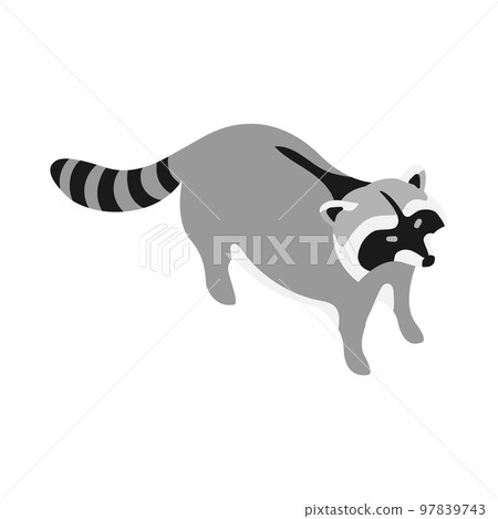Raccoon Isometric Illustration 97839743