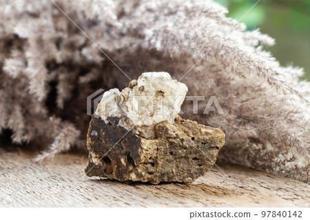 Raw White Aragonite Crystal Mineral Stone on Wood 97840142