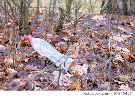 Environmental pollution by household waste. Plastic bottle lying around in coniferous forest.  97840497