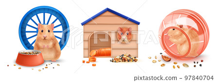 Realistic Hamster Compositions 97840704