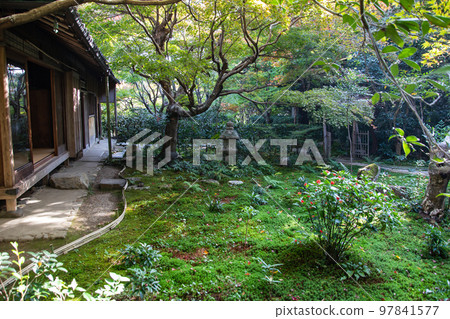 Autumn leaves of Enrian (Kyoto) 97841577