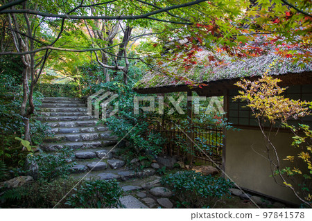恩里安的秋葉(京都) 恩里安的秋葉(京都) 97841578