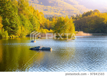 Autumn beech forest reflecter in the water. Jizera Mountains Beech Forest, Czech Republic Autumn beech forest reflecter in the water. Jizera Mountains Beech Forest, Czech Republic 97841583