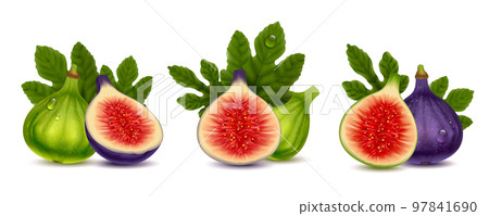 Figs Fruit Realistic Compositions Set Figs Fruit Realistic Compositions Set 97841690