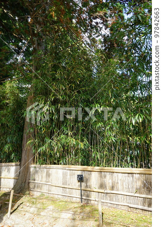 World Heritage Kanzan Chusonji Temple World Heritage Kanzan Chusonji Temple 97842663