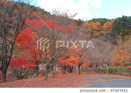 秋天的紅葉湖風光 秋天的紅葉湖風光 97843491