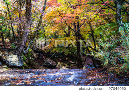Autumn leaves of Mazeno Valley (Mazeno Takinoue) [Minamioguni Town, Aso County, Kumamoto Prefecture] 97844060