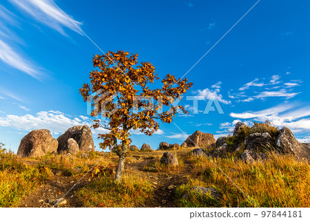 Oshito Stone Hill 秋天紅葉的晨景[熊本縣阿蘇郡南小國町] 97844181