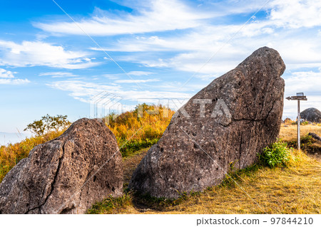 Oshito Stone Hill 秋天紅葉的晨景[熊本縣阿蘇郡南小國町] 97844210