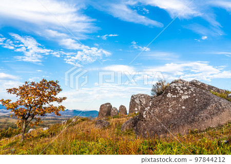 Oshito Stone Hill 秋天紅葉的晨景[熊本縣阿蘇郡南小國町] 97844212