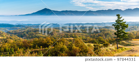 Oshitoishi no Oka, grass autumn leaves, morning scenery, view of a sea of clouds, panorama [Minamioguni-machi, Aso-gun, Kumamoto Prefecture] 97844331